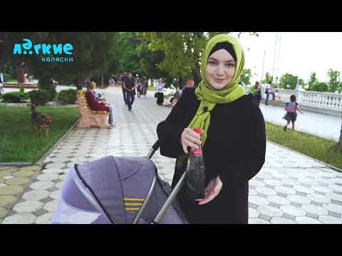 Трушный видео обзор прогулочной коляски Panda Q5