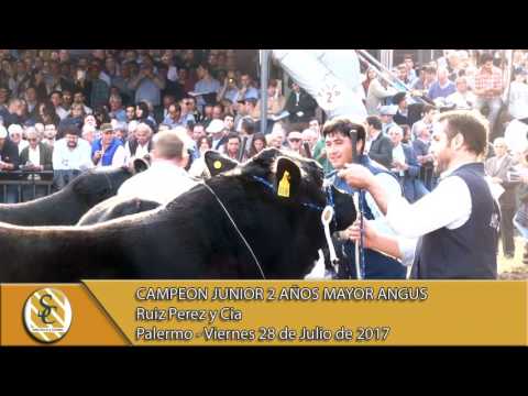 28-07-17 Jura 2 Años Mayor Angus - Palermo