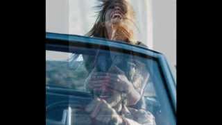 Tanita Tikaram ~ Twist In My Sobriety