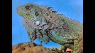 La Frontera - Pobre Tahur