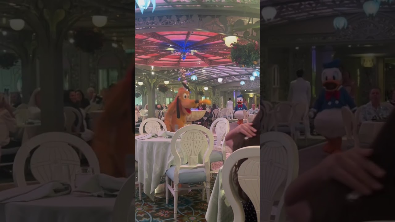 Cruising with My Best Friend, Mickey ♥️