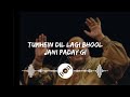 Tumhein Dil Lagi Bhool Jani Paday Gi By Ustad Nusrat Fateh Ali Khan Nusrat Remix Song Lyrics