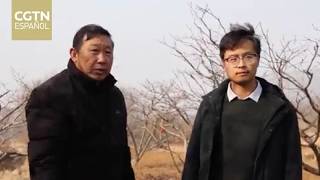 Un jefe de aldea se hace viral en China por llevar a cabo "pequeñas cosas"