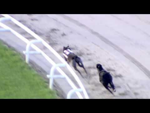 2017 STAR SPORTS DERBY - ROUND 1 HEAT 24 - T6 KING EDE