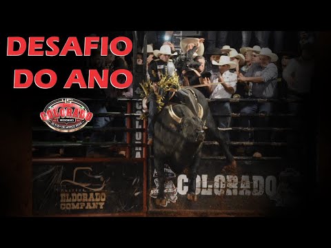 Colorado Rodeo 2019 - CHALLENGE OF THE YEAR / RAFAEL DE BRITO X VINGADOR