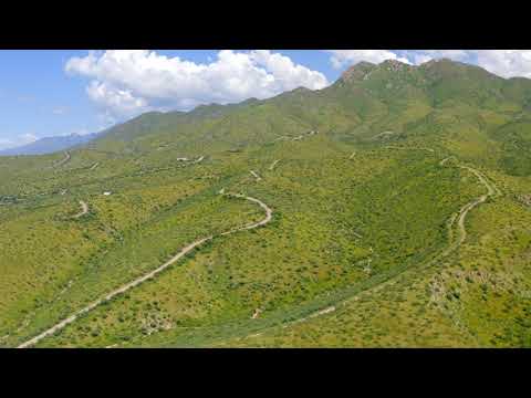 Eric Rosenwald video