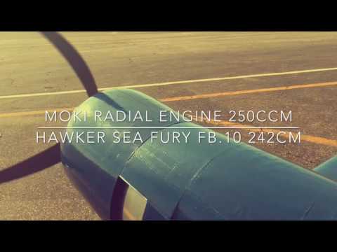 Big RC Scale Hawker Sea Fury F10 with Moki Radial Engine 250ccm