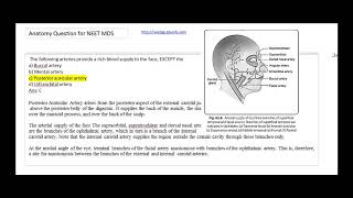 Anatomy Question for NEET MDS