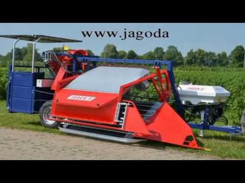 Berry Harvester Machine JAREK 5