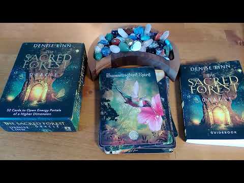 The Sacred Forest Oracle ~ Flip Through & One Card Reading