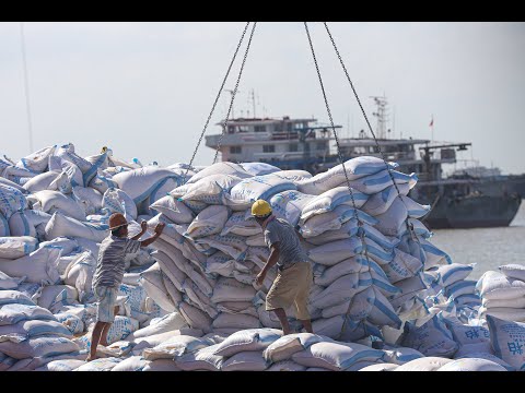 China Reaches US Soybean Target Set in Trade Truce