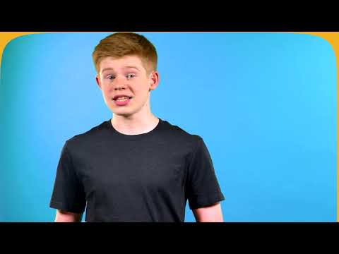 Protecting Sea Turtles - First Conditional