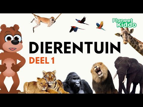 🐅 Dierentuin Dieren Leren In Het Nederlands | Voor Peuters En Kleuters | Learn Zoo Animals in Dutch