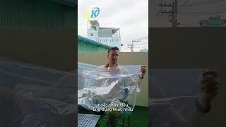 Túi PE khổ lớn