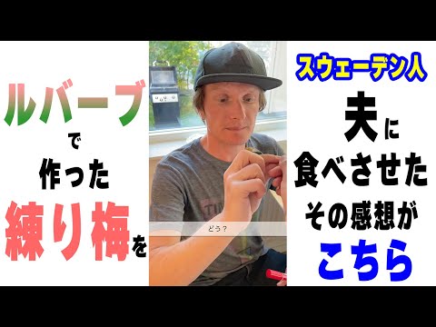 園芸 グンネール ブラジル産の巨大ルバーブ