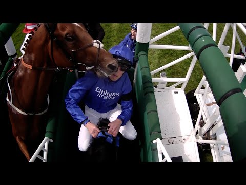 DRAMA at the start! Will Buick is head-butted by an adjacent horse but the starter let's them go!