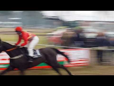 Sonsbeck 01.04.2018 - 6.R. Preis der Volksbank am Niederrhein