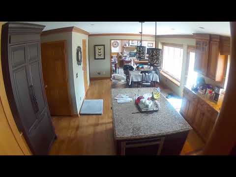 Lacey - Door Closed 3-28-19 Kitchen