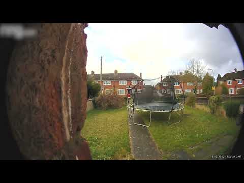 Heavy Winds Cause Trampoline To Move Back and Forth In Backyard - 1312243