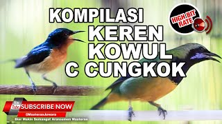 Download lagu #1 🔴 Kompilasi Masteran Paling Keren Kolibri Wulung Nembak Vs Cucak Cungkok Gacor Isian Gereja❗️ mp3 Download lagu #1 🔴 Kompilasi Masteran Paling Keren Kolibri Wulung Nembak Vs Cucak Cungkok Gacor Isian Gereja❗️ mp3