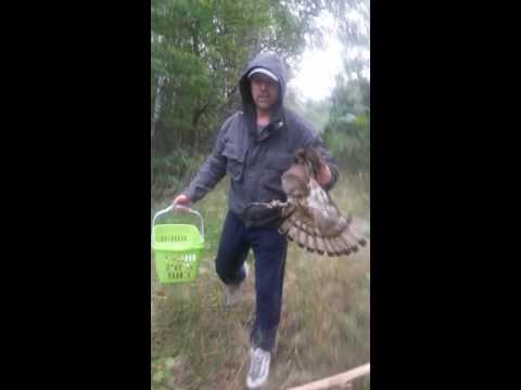 Na ratunek ptakom... :D