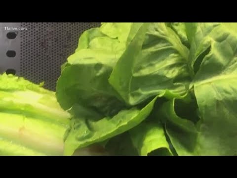 Romaine lettuce still on the shelves locally, despite...