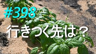 Download lagu 【国家滅亡】東京脱出を真剣に考えたほうがいいかもしれません　2026/06/29 mp3