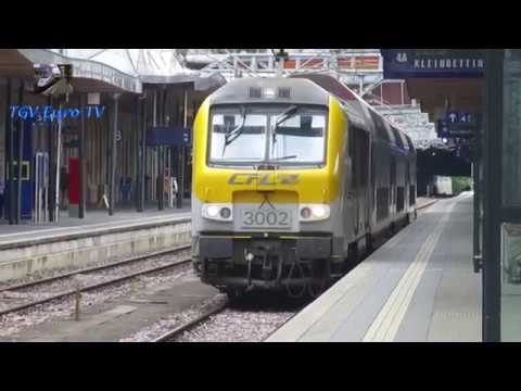 A linha 50 antes e depois do trabalho