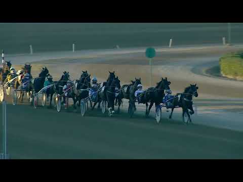 Ippodromo dei Sauri - 7' corsa del 20.3.2025