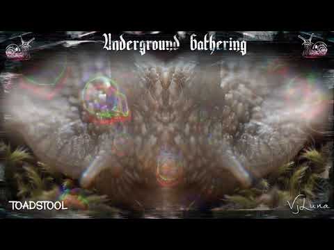 Toadstool @ Underground Gathering • Live Stream - VJ Luna