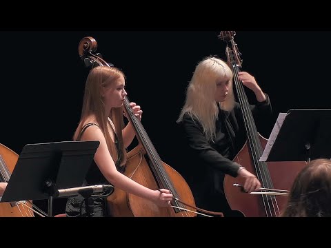 The Carnival of Venice Fantaisie and Variation by Jean-Baptiste Arban, Franciszek Kaczyński trumpet