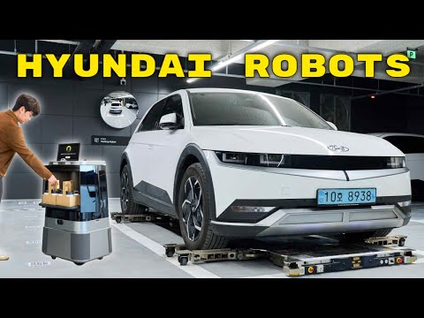 Hyundai DAL-e Review Video 2