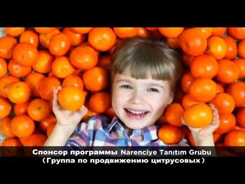 Turkish Citrus for Health - Турецкие Цитрусовые, Для здоровья
