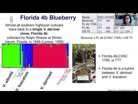 Nahla Bassil: Fruit DNA Tell All: Our Adventures at the Corvallis Genebank