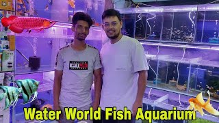 New Exotic Fishes For Sale At Water World Fish Aquarium Delhi #new