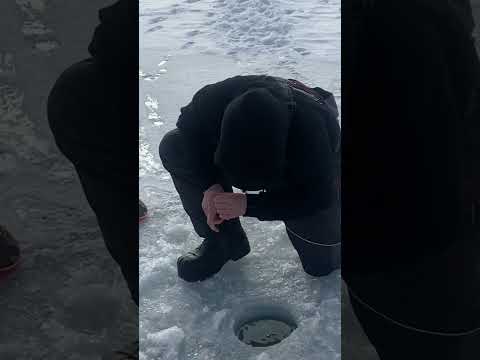 I love big pike! Thanks for watching