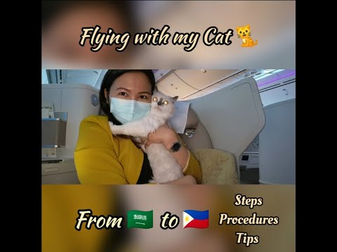 Traveling with my CAT:🇸🇦 to 🇵🇭