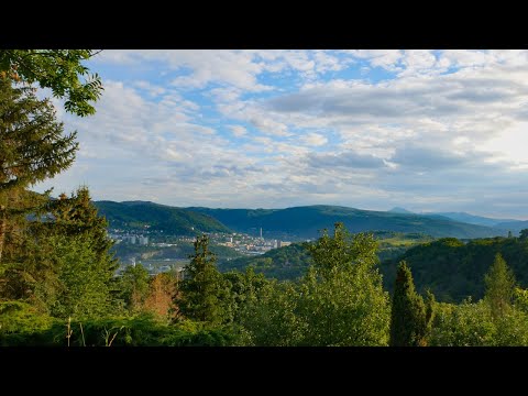 A walk on footpaths through the forest and meadows to the outskirts of the city