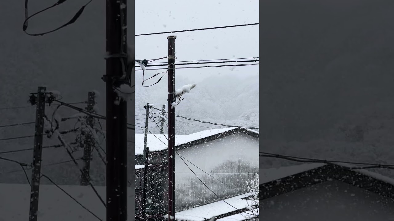 Meu Carro cheio de Neve Japão#shorts