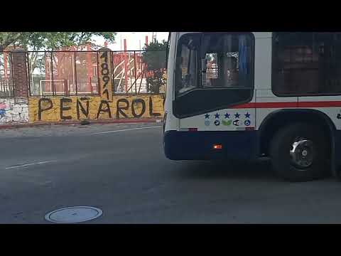 Ciudad Vieja y Puerto de Montevideo Uruguay 🇺🇾 