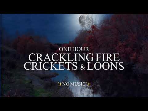 Crackling Campfire, Lots of Night Bugs, & Loons Calling At Night - {1 Hour} *No Music*