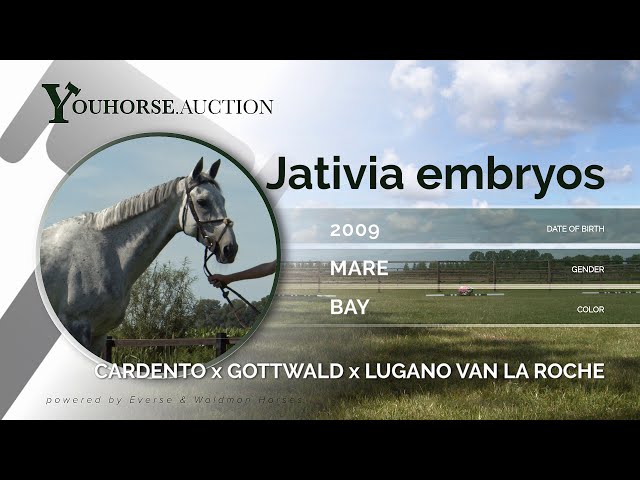 Embryo Jativia