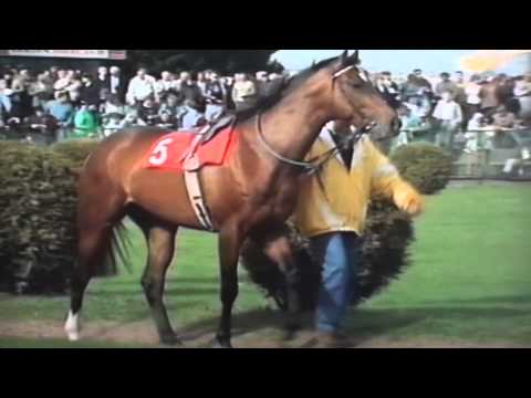 Nagroda Strzegomia - 3.05.1997 - Gere (Graf - Girl)