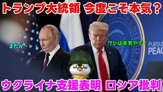 【ペンギン閣下】トランプ大統領は決断できるか？【国際情勢】