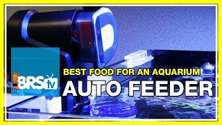 Feeding Tool Videos Bulk Reef Supply