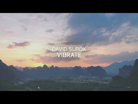 David Surok - Vibrate