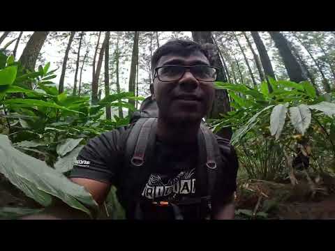 #nadeeshasumanasekera