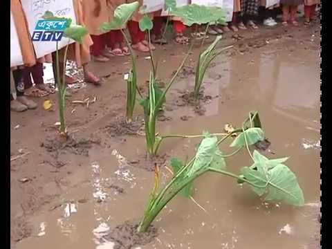 রাস্তায় মাছ ছেড়ে চারা রোপন করে সড়ক সংস্কারের দাবি