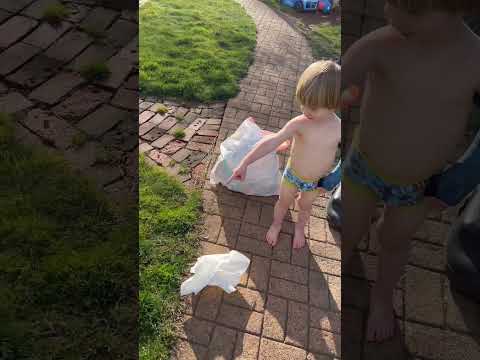 Shiloh just decided to poop in the backyard like the dog