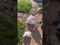 Shiloh just decided to poop in the backyard like the dog